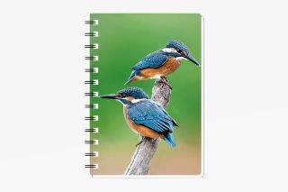 Obrázek z Notes 3D 9,3x13,5cm - ledňáček (12) 
